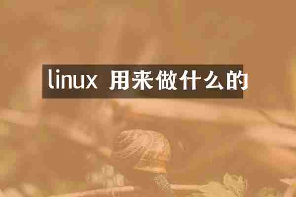 linux 用来做什么的