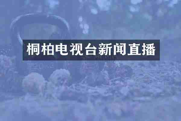 桐柏电视台新闻直播