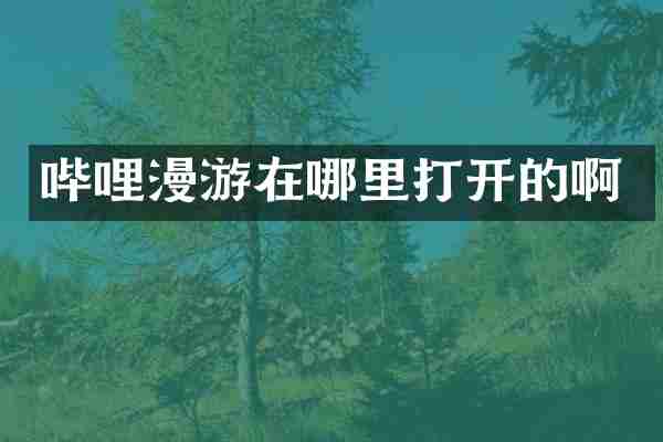 哔哩漫游在哪里打开的啊