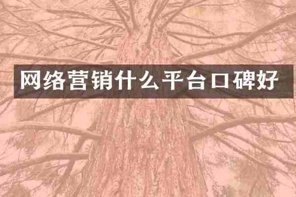 网络营销什么平台口碑好