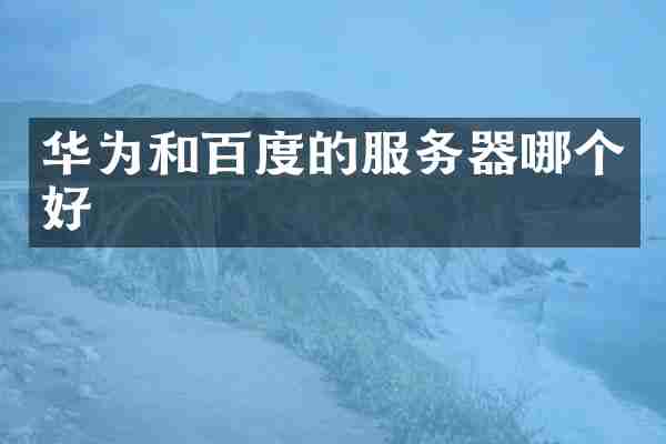 华为和百度的服务器哪个好