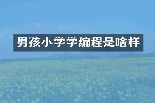 男孩小学学编程是啥样
