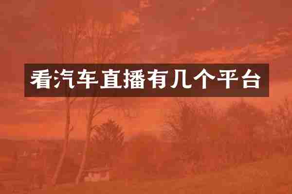 看汽车直播有几个平台