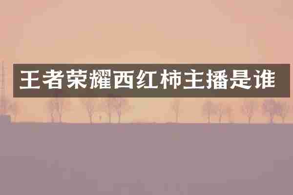 王者荣耀西红柿主播是谁
