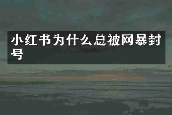 小红书为什么总被网暴封号