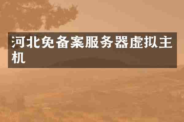 河北免备案服务器虚拟主机