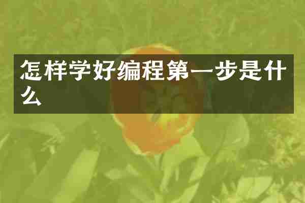 怎样学好编程第一步是什么