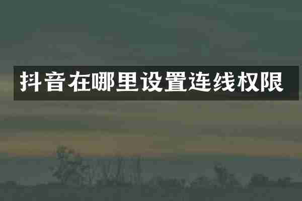 抖音在哪里设置连线权限