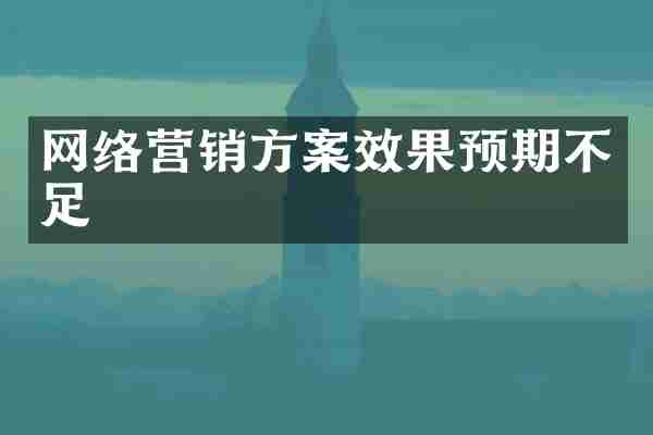网络营销方案效果预期不足