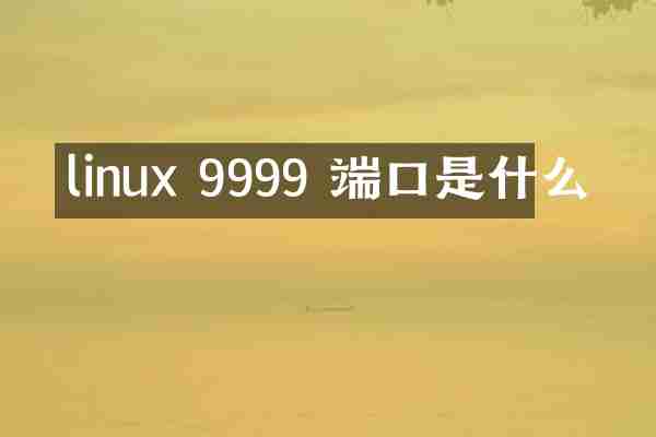 linux 9999 端口是什么