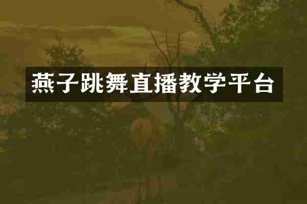 燕子跳舞直播教学平台