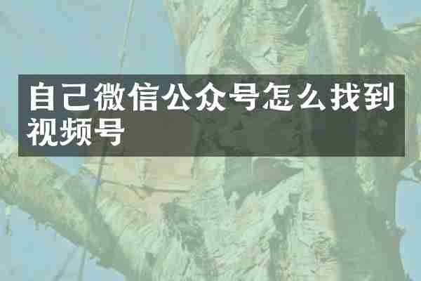 自己微信公众号怎么找到视频号