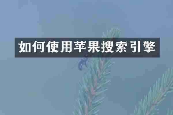 如何使用苹果搜索引擎