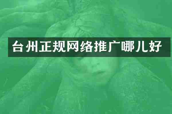 台州正规网络推广哪儿好