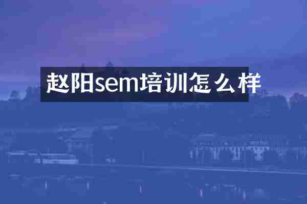 赵阳sem培训怎么样