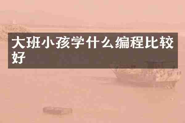 大班小孩学什么编程比较好