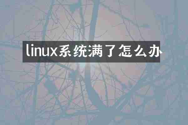linux系统满了怎么办