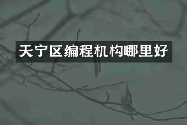 天宁区编程机构哪里好