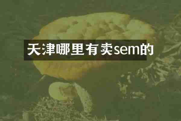 天津哪里有卖sem的