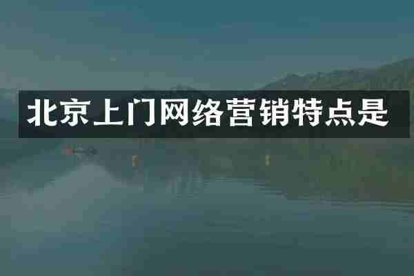 北京上门网络营销特点是