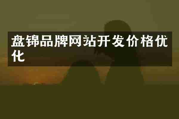 盘锦品牌网站开发价格优化
