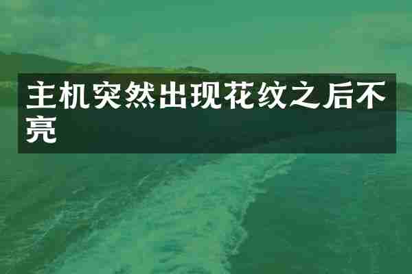 主机突然出现花纹之后不亮