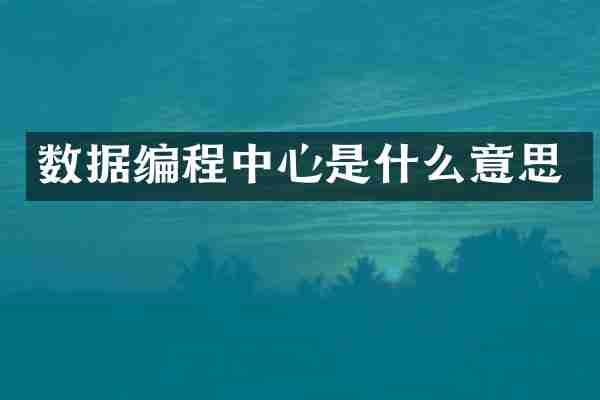 数据编程中心是什么意思