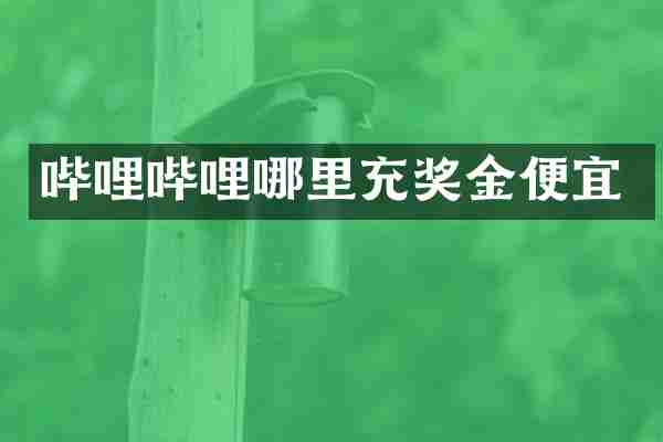 哔哩哔哩哪里充奖金便宜
