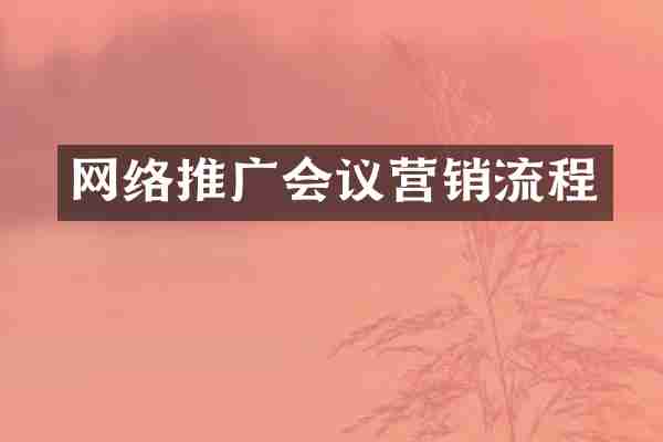 网络推广会议营销流程