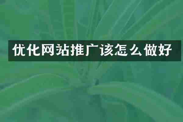优化网站推广该怎么做好