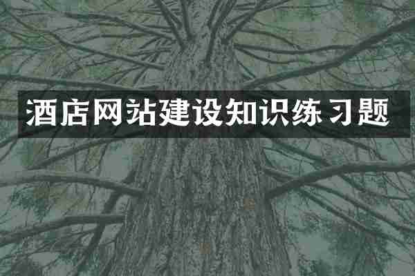 酒店网站建设知识练习题