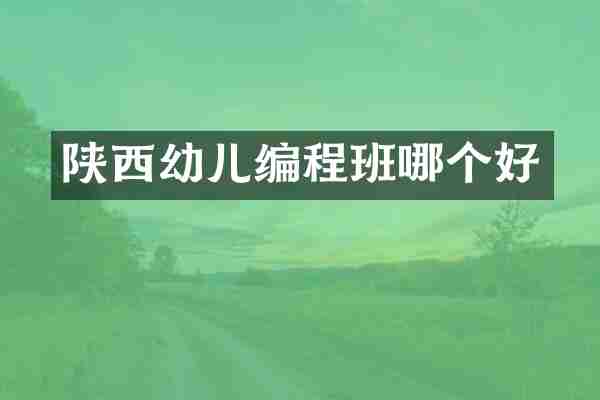 陕西幼儿编程班哪个好