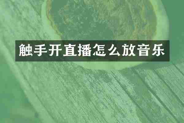 触手开直播怎么放音乐