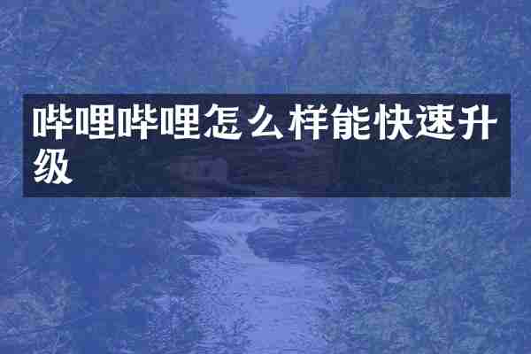 哔哩哔哩怎么样能快速升级