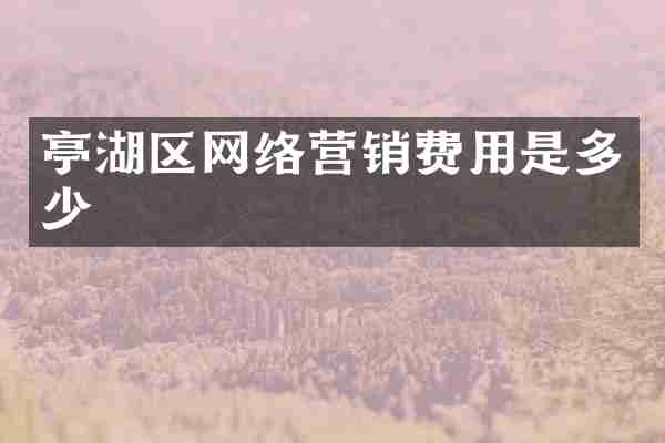 亭湖区网络营销费用是多少