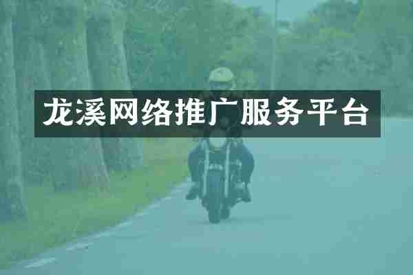 龙溪网络推广服务平台