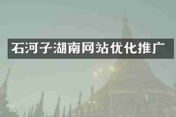 石河子湖南网站优化推广