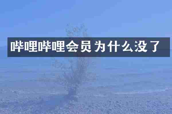 哔哩哔哩会员为什么没了