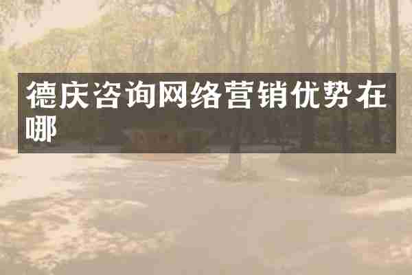 德庆咨询网络营销优势在哪