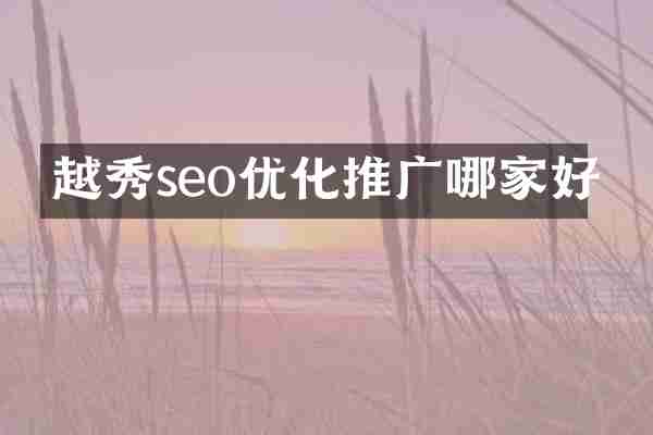 越秀seo优化推广哪家好