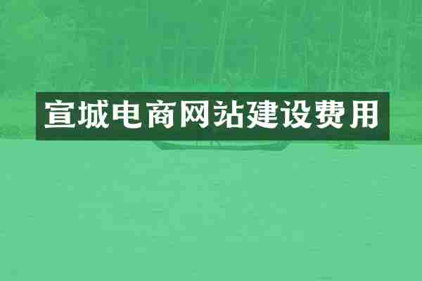 宣城电商网站建设费用