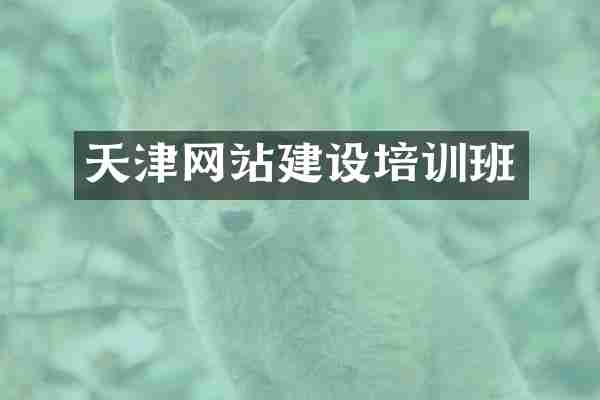 天津网站建设培训班