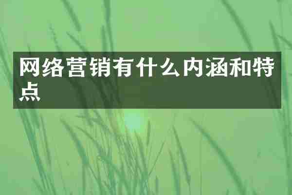 网络营销有什么内涵和特点