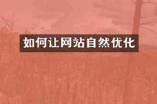 如何让网站自然优化