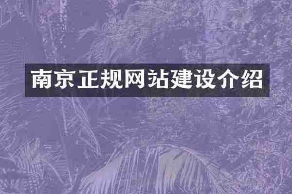 南京正规网站建设介绍