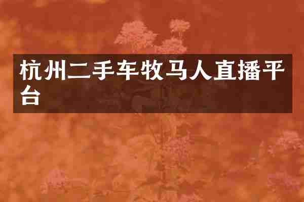 杭州二手车牧马人直播平台