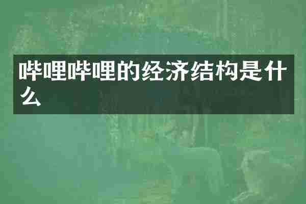 哔哩哔哩的经济结构是什么