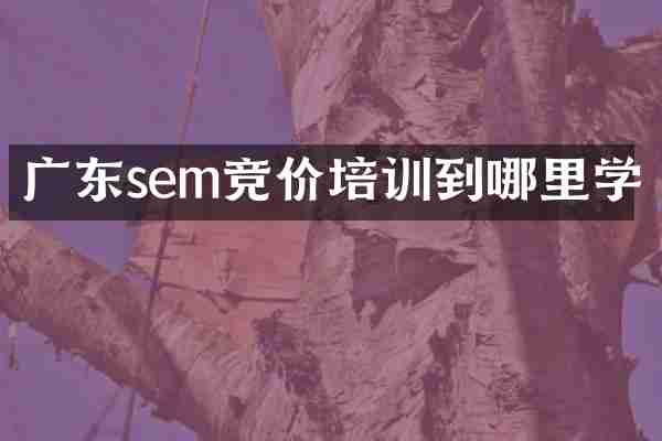 广东sem竞价培训到哪里学