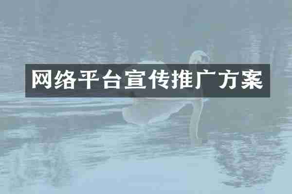 网络平台宣传推广方案