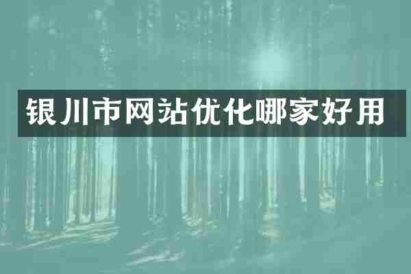 银川市网站优化哪家好用